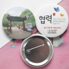 48 핀버튼