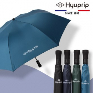 협립 2단 베이직 자동 우산