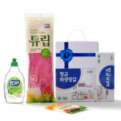 크린홈 항균 프리미엄 6호