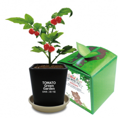 토마토 그린가든 2컬러 화분 (토마토류)