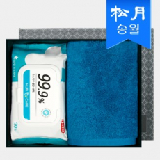 위생키트- 예방 클린 세트 B (170g호텔 수건 1p+항균 티슈70매 1p)