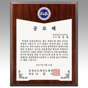 감사패 회사공로패 [NA031] WSGD