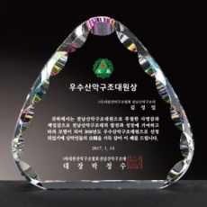 크리스탈감사패 회사공로패 [CR029] WSGD