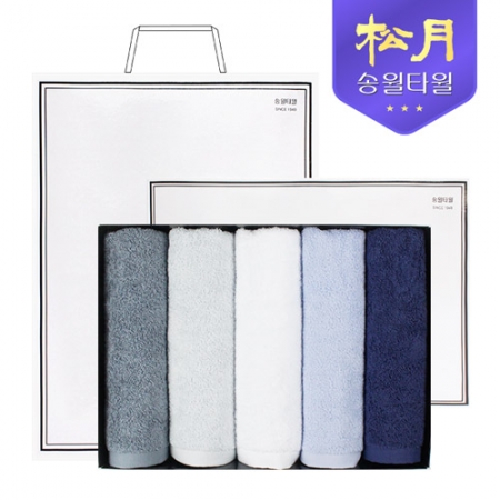 [송월타올] 호텔용 아르망 160g 5P 타올세트 #2
