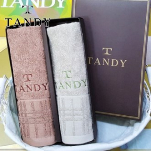 탠디 T-21 윈도우 세면타올 2매 세트 40x80cm, 타올