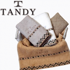 탠디 T- 21 클래식체크 세면타올 40x80cm