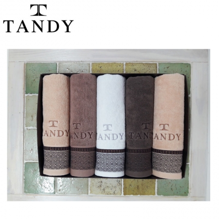탠디 T - 21 더도어 세면 타올 5매 세트 #2