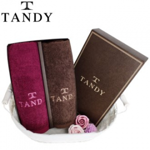 탠디 T-21 솔리드 호텔타올 2매 세트 - 200g