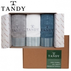 탠디 T-21 프리미엄 패키지 바코드 세면타올 3p 세트 40x80cm, 타올