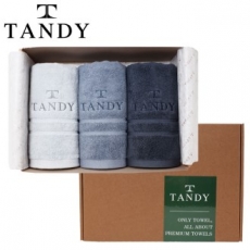 탠디 T-21 프리미엄 패키지 볼드 체크 세면타올 3p 세트 40x80cm, 타올