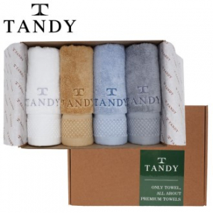 탠디 T-21 프리미엄 패키지 뱀부얀 하이브 세면타올 4p 세트 40x80cm, 타올