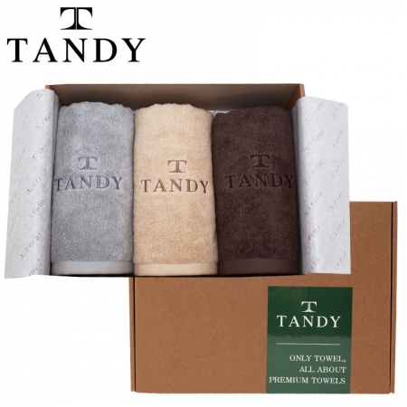 탠디 T-21 프리미엄 패키지 솔리드 자수 세면타올 3p 세트 40x80cm, 타올 #2