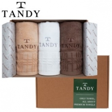 탠디 T-21 프리미엄 패키지 윈도우 세면타올 3p 세트 40x80cm, 타올