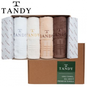 탠디 T-21 프리미엄 패키지 윈도우 세면타올 4p 세트 40x80cm, 타올