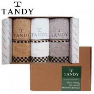 탠디 T-21 프리미엄 패키지 클래식체크 세면타올 3p 세트 40x80cm, 타올