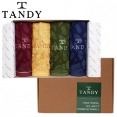 탠디 T-21 프리미엄 패키지 뱀부얀 행운의 부엉이 세면타올 4p 세트 40x80cm, 타올
