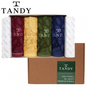 탠디 T-21 프리미엄 패키지 뱀부얀 행운의 부엉이 세면타올 4p 세트 40x80cm, 타올