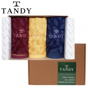 탠디 T-21 프리미엄 패키지 뱀부얀 행운의 부엉이 세면타올 3p 세트 40x80cm, 타올