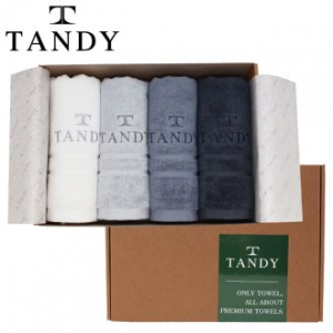 탠디 T-21 프리미엄 패키지 볼드 체크 세면타올 4p 세트 40x80cm, 타올