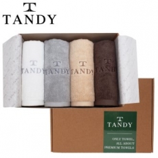 탠디 T-21 프리미엄 패키지 솔리드 자수 세면타올 4p 세트 40x80cm, 타올