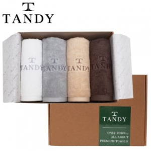 탠디 T-21 프리미엄 패키지 솔리드 자수 세면타올 4p 세트 40x80cm, 타올