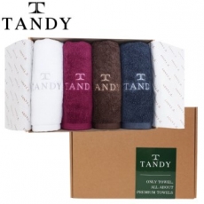 탠디 T-21 프리미엄 패키지 프리미엄 솔리드 2.0 세면타올 4p 세트 40x80cm, 타올