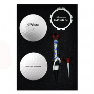 타이틀리스트 PRO V1X 2구 볼마커칩 자석티 세트