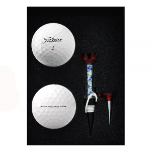 타이틀리스트 PRO V1X 2구 자석티 세트