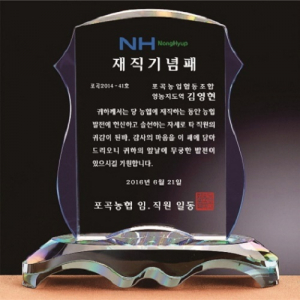 화이트 블루 투톤 크리스탈 상패