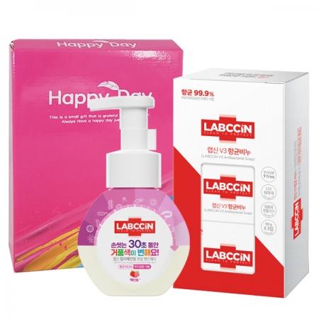 랩신 비누 3개 핸드워시 거품 비누 손세정제 250ml 용기 2종 세트