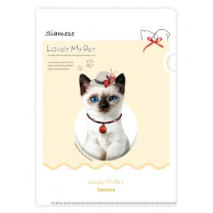 L홀더 러블리마이펫 No.1 샴