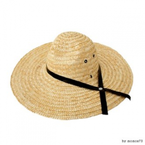 밀짚 모자 밀집 모자