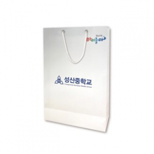 종이 쇼핑백 220X80X370