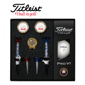 타이틀리스트 Pro V1 골프볼+볼마커 (골드) + 자석티 (2) 세트