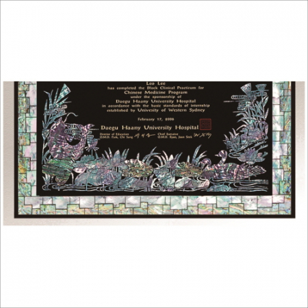 천연 진주 자개패 5 #4