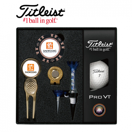 타이틀리스트 Pro V1 골프볼+칩볼마커+그린보수기 볼마커 (골드) + 자석티 세트 #2
