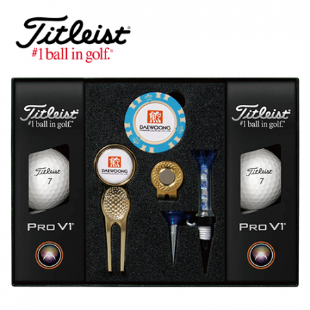 타이틀리스트 Pro V1 골프볼 6구+칩볼마커+그린보수기 볼마커 (골드) + 자석티 세트 #2