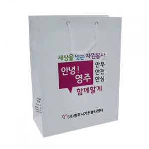 쇼핑백 종이 가방 260x340x120mm 2절