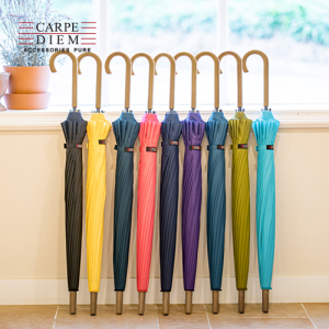 카르페디엠 3HHS013 장우산 55*16K