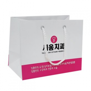 종이 가방 쇼핑백 190x110x150 3절