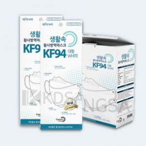 생활속 황사 방역마스크 KF94 / 케어플퀸 황사 방역마스크 KF94 황사 방역마스크 대형 1매 (식약청인증 / 국내생산 필터)