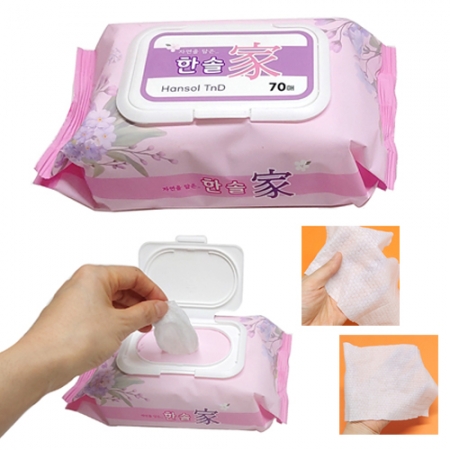 [한솔가 물티슈-캡형] 70매 / 엠보 / 고급형 #2
