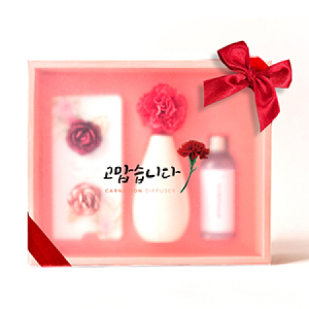 에스제이 디퓨저- 미스틱 썸데이 스페셜 세트 ( DMS-2101) #2