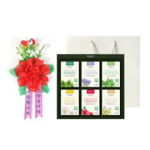 유기농 허브차 베이직 기획세트 D, 어버이날 카네이션 선물세트