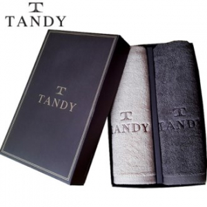 탠디 T-21 솔리드 매직 타올 2매 세트 - 170g 베이직