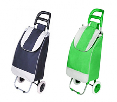 터틀 캐리어 가방 2