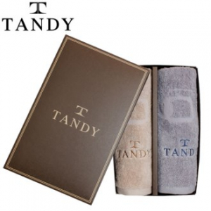 뉴 탠디 T-21 라운드스퀘어 타올 170G 2매세트 베이직