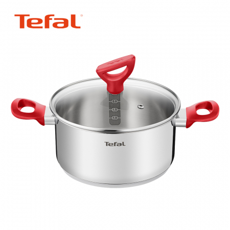 테팔 에디션 레드 인덕션 양수 냄비 24cm #2