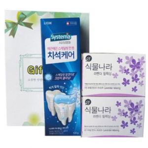 치석케어 치약 + 식물나라 비누-3종 세트