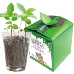 미니 플라워가든 / 화분 / 씨앗 / 식물 / 새싹 / 플라워 / 꽃